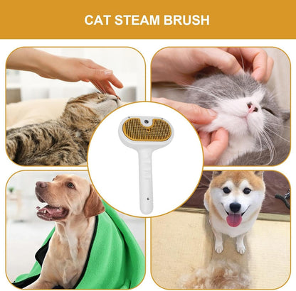 SteamBrush Pro 3X