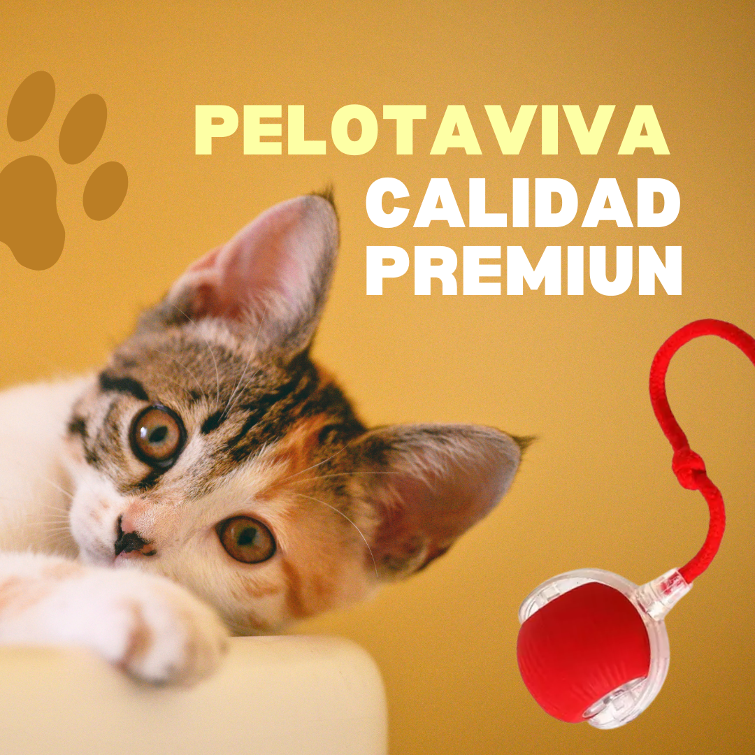 Pelotaviva UP-2, juguete interactivo para perros que estimula y entretiene
