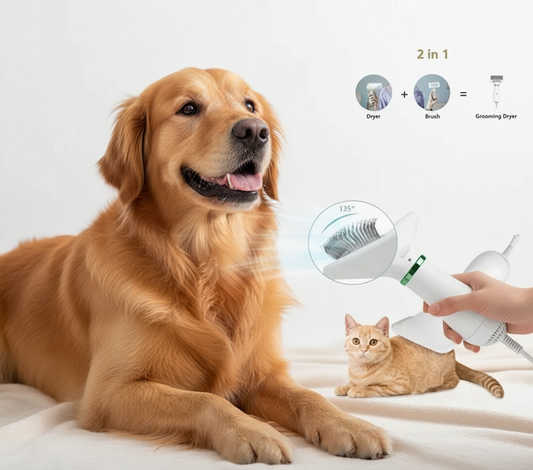 Imagen principal con Golden Retriever