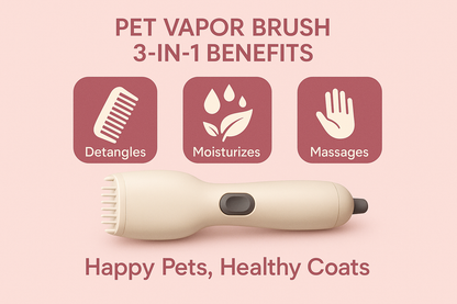 Infografía Cepillo de Vapor 3 en 1