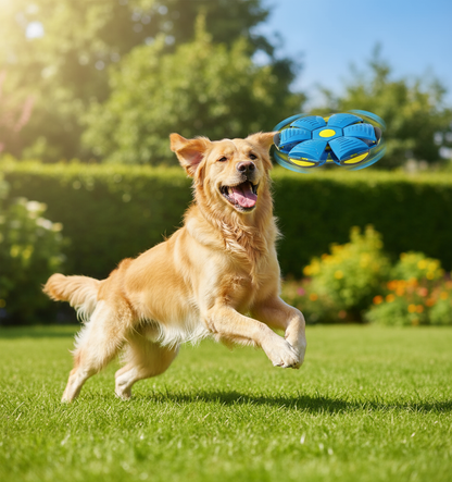 Perro jugando con pelota voladora en jardín